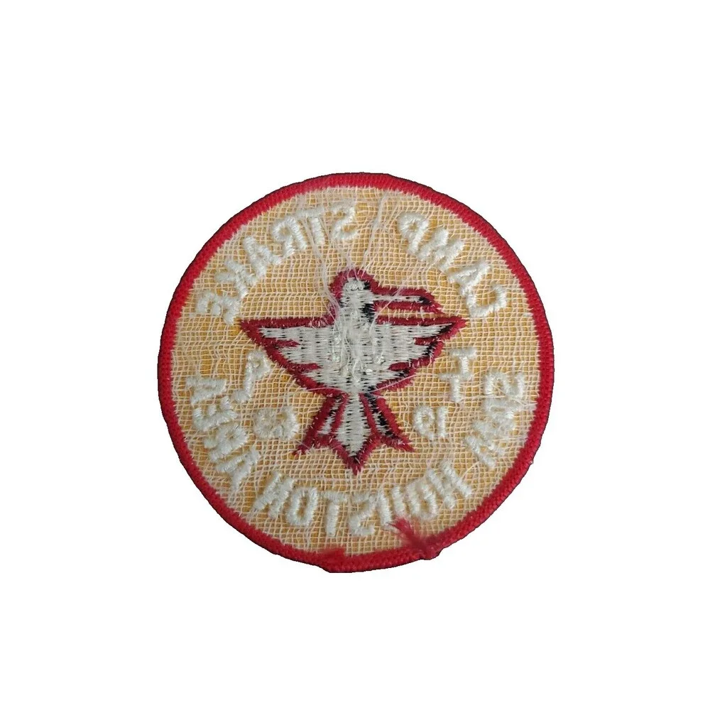 Camp Strake 1963 3 Inch Round Patch Sam Houston Area Multicolor